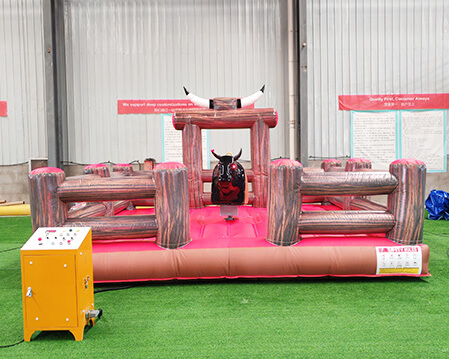 Mechanical Bull Ride