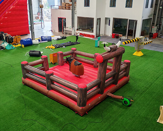 Mechanical Bull Ride