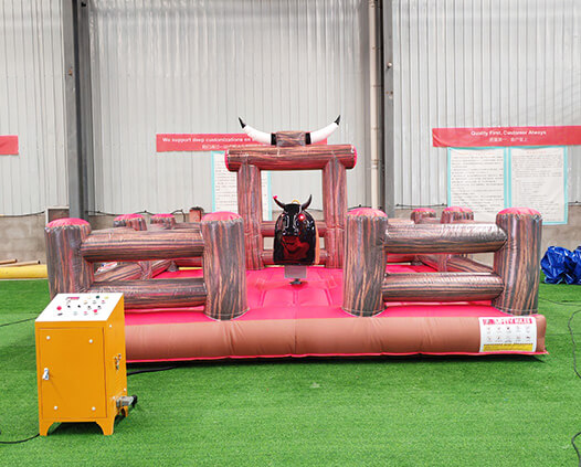 Mechanical Bull Ride