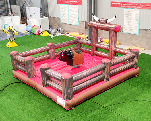 Mechanical Bull Ride