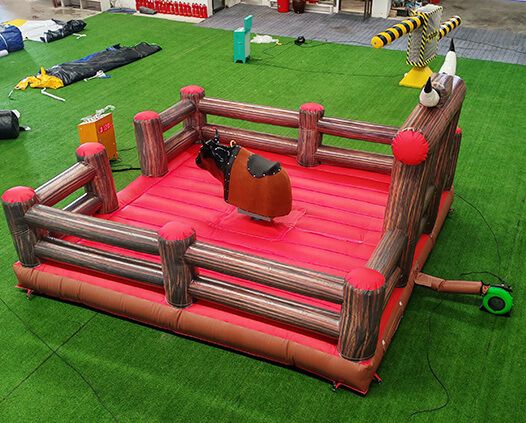 Mechanical Bull Ride