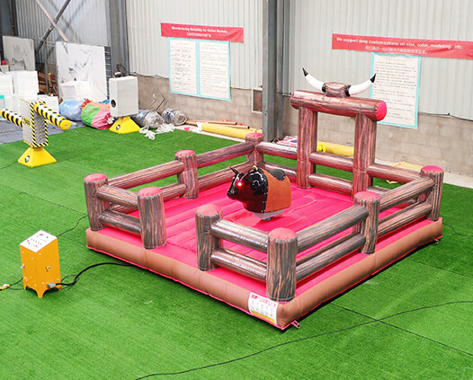 Mechanical Bull Ride